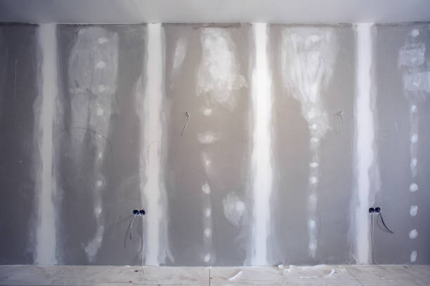 Best Mold Damage Restoration  in Belle Chasse, LA